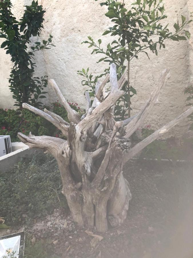 باري B&B Villa S.Anna المظهر الخارجي الصورة