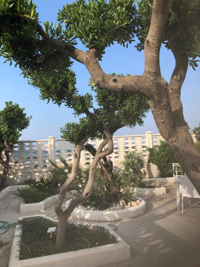 باري B&B Villa S.Anna المظهر الخارجي الصورة